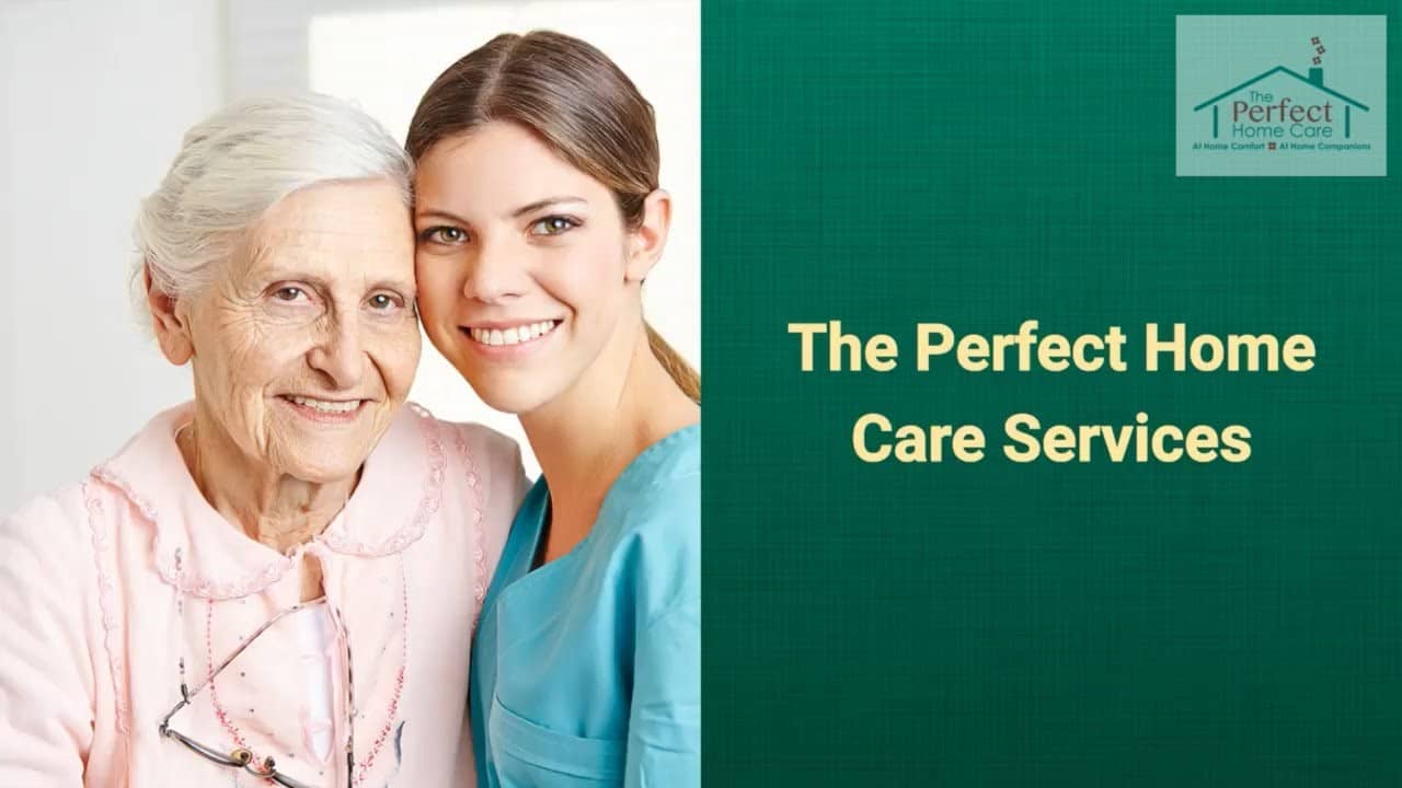 The Perfect Home Care, Inc. - 520 White Plains Rd # 500, Tarrytown, NY 10591