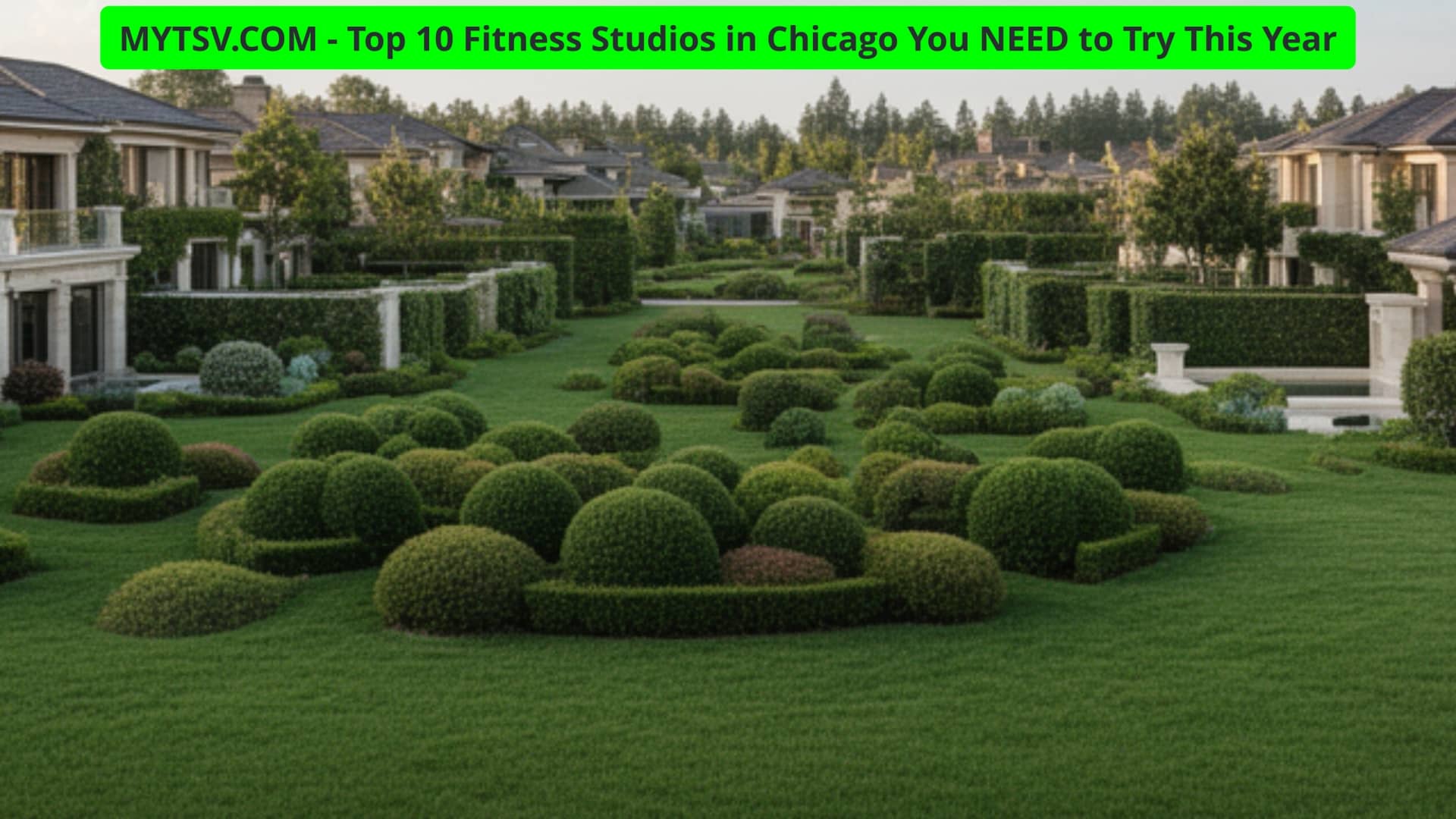 Top 10 Landscaping Companies in Chicago That Transform Outdoor Spaces