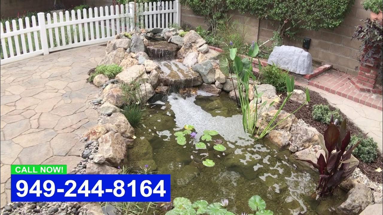 AquaLife Ponds - 1001 W 17th St # H, Costa Mesa, CA 92627