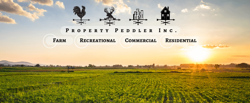 Property Peddler Inc. Auction & Real Estate - 1811 N Market St, Sparta, IL 62286