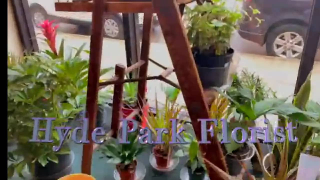 Welcome to Hyde Park Florist