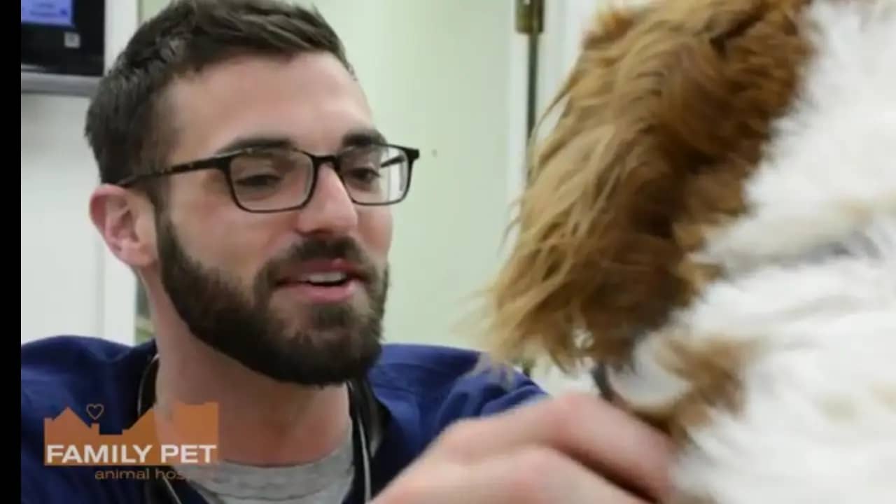 Family Pet Animal Hospital in Chicago, Illinois